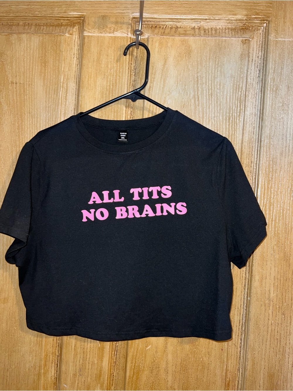 Black Crop Tee with Pink Slogan. ALL T!TS NO BRAINS. SHEIN 2X